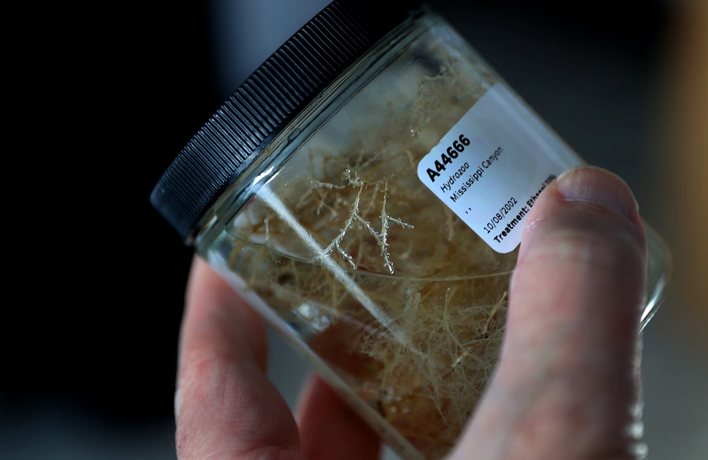 A lab sample at the Ocean Genome Legacy Center.